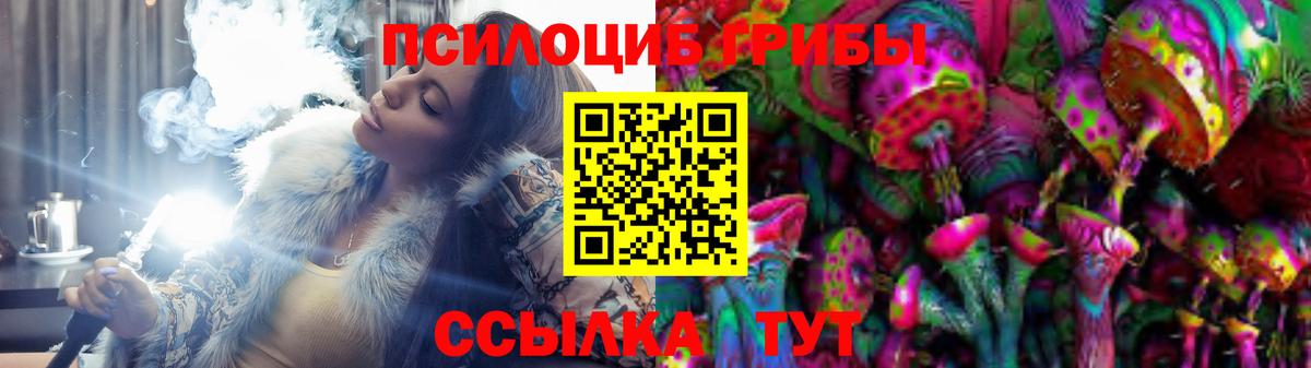 Псилоцибиновые грибы мицелий  Вход с VPN  Псилоцибиновые грибы Psilocybe  Самара 